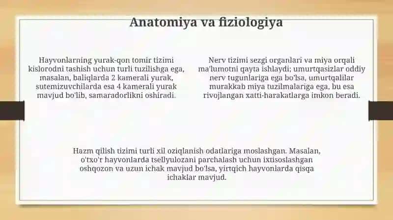 Hayvonlar taksonomiyasi 4