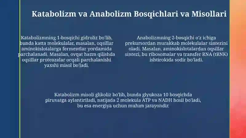Katabolizm va Anabolizm 4