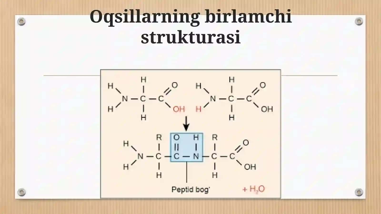 Oqsillarning strukturasi, klassifikatsiyasi 4