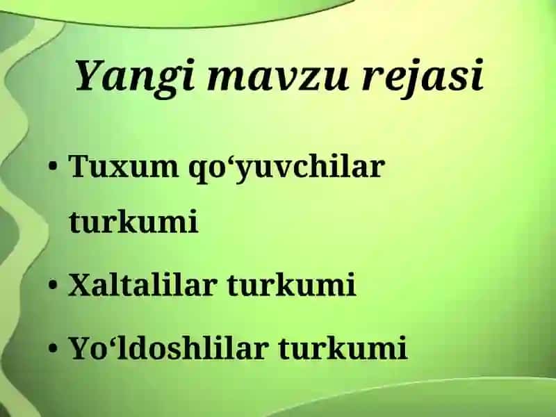 Sut emizuvchilarning xilma-xilligi 4