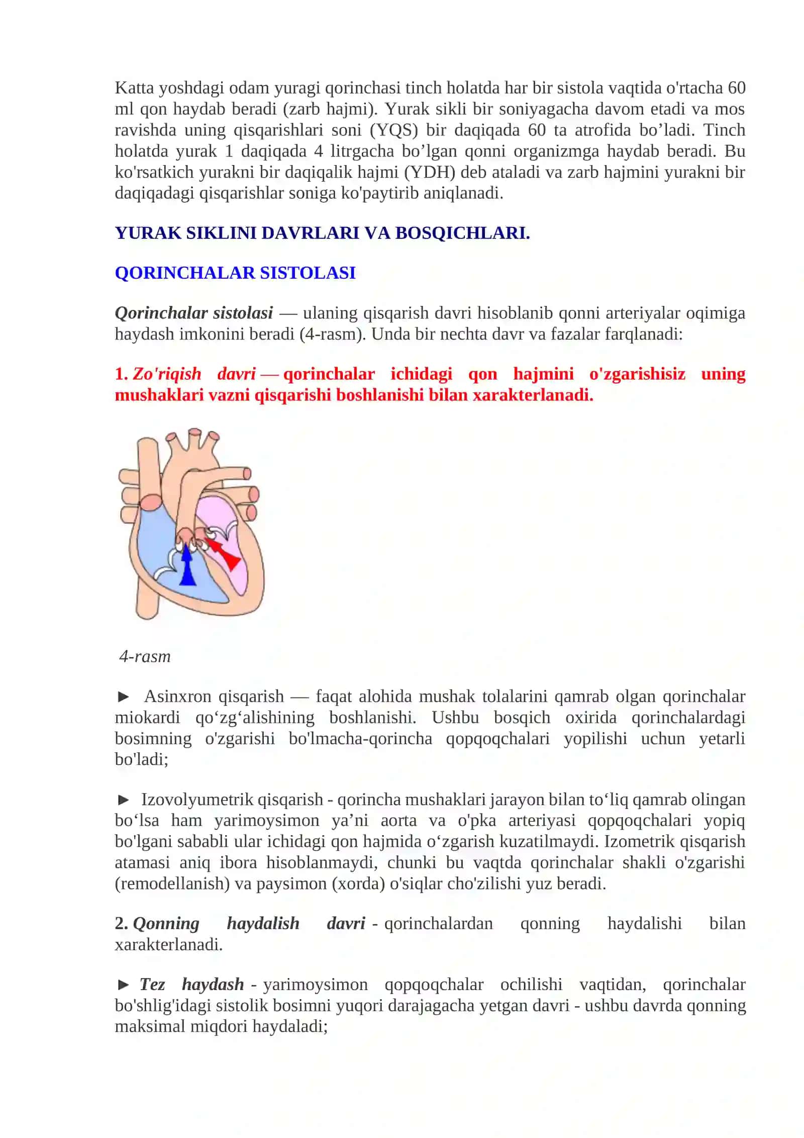 YURAK QON-TOMIR TIZIMI 4