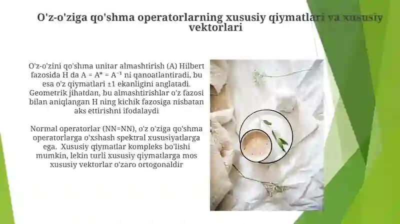 O'z-o'ziga qo'shma operatorlar 4