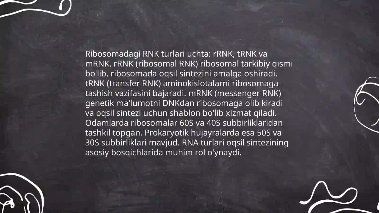 Ribosoma 4