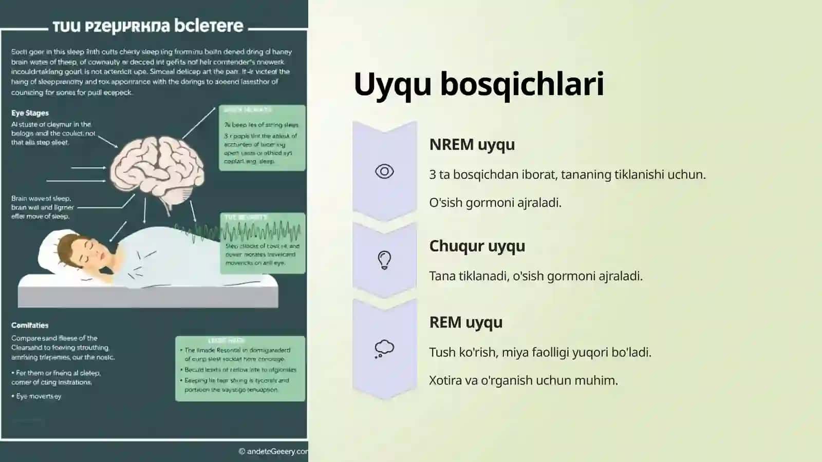 Uyqu va uning ahamiyati 4