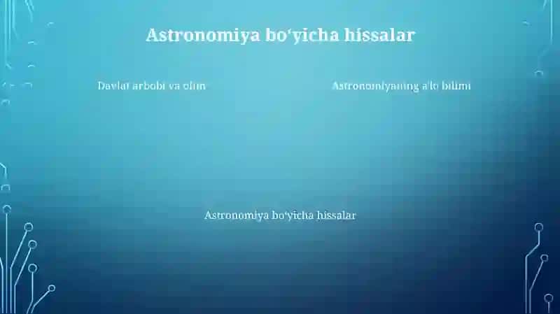 Ulug'bek: Davlat Arbobı 4