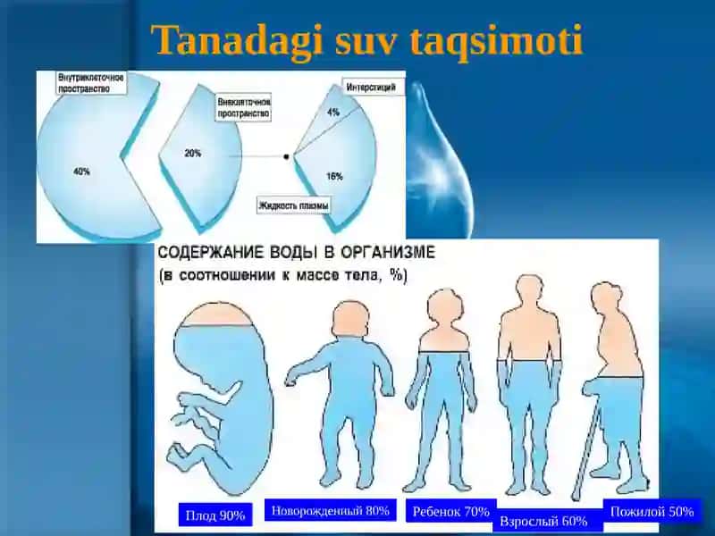 Bolalarda suv tuz almashinuvi xususiyatlar 4