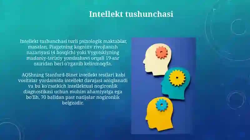 Intellektual Nogironlik 4