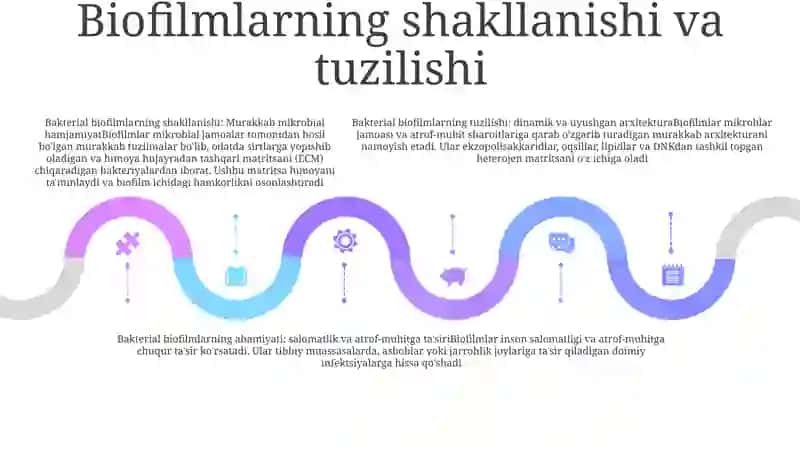 Bakteriyalar Bioplyonkasi 4