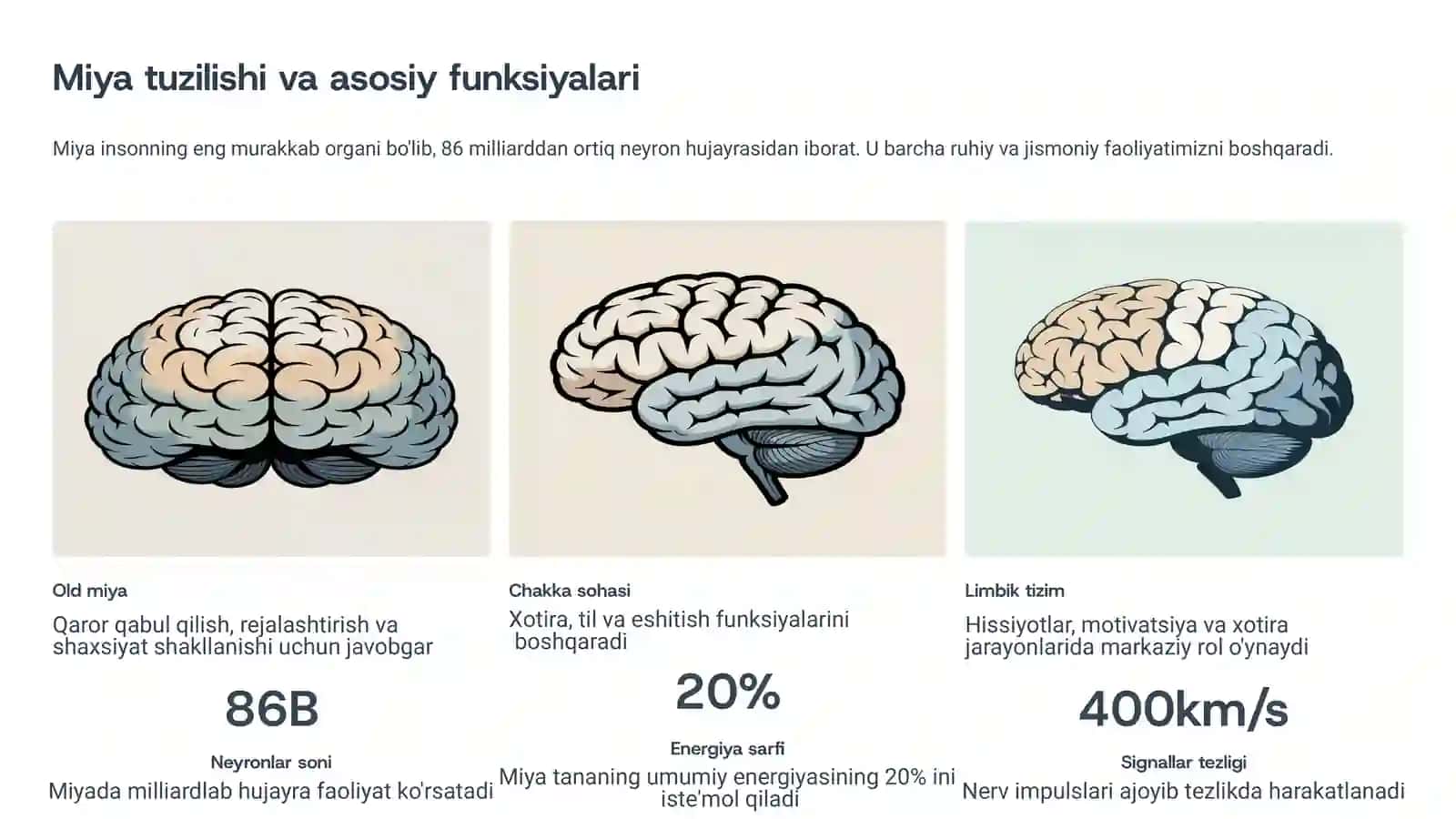 Inson psixologiyasi asoslari 4