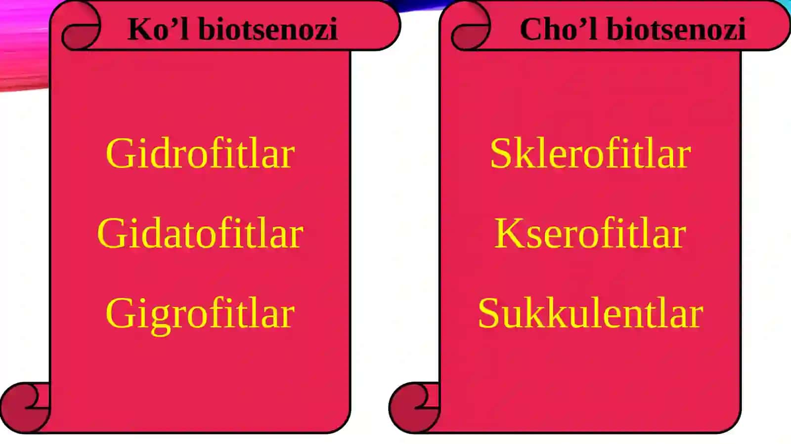 Biotsenozning tuzilmasi 4