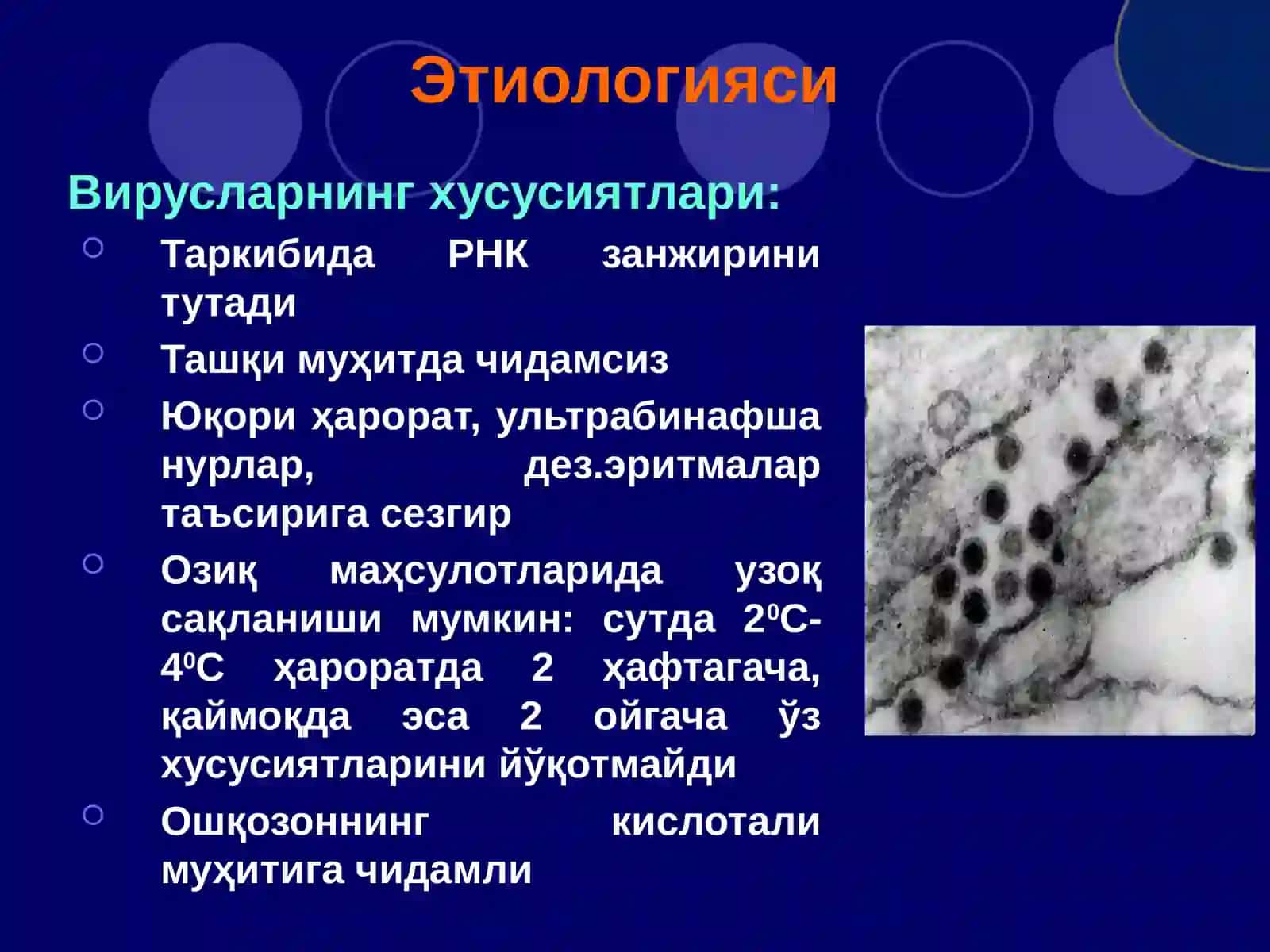 Канаэнцефалити 4