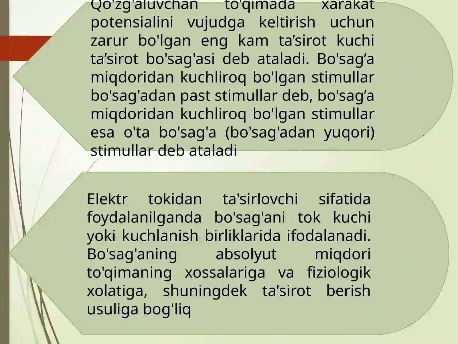 Qо‘zg‘aluvchantо‘qimalardagi 4
