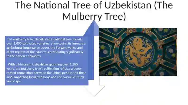 The National Bird of Uzbekistan (The Hoopoe) 4