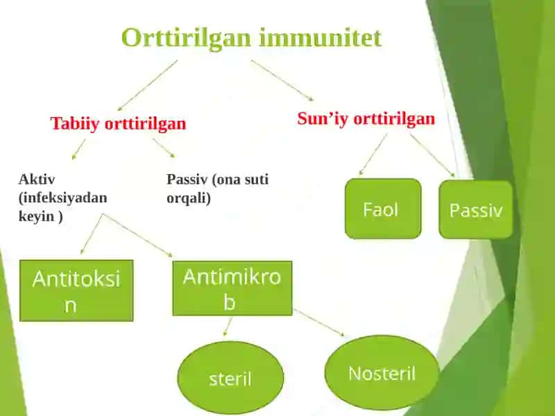 Immunitet va uning turlari 4
