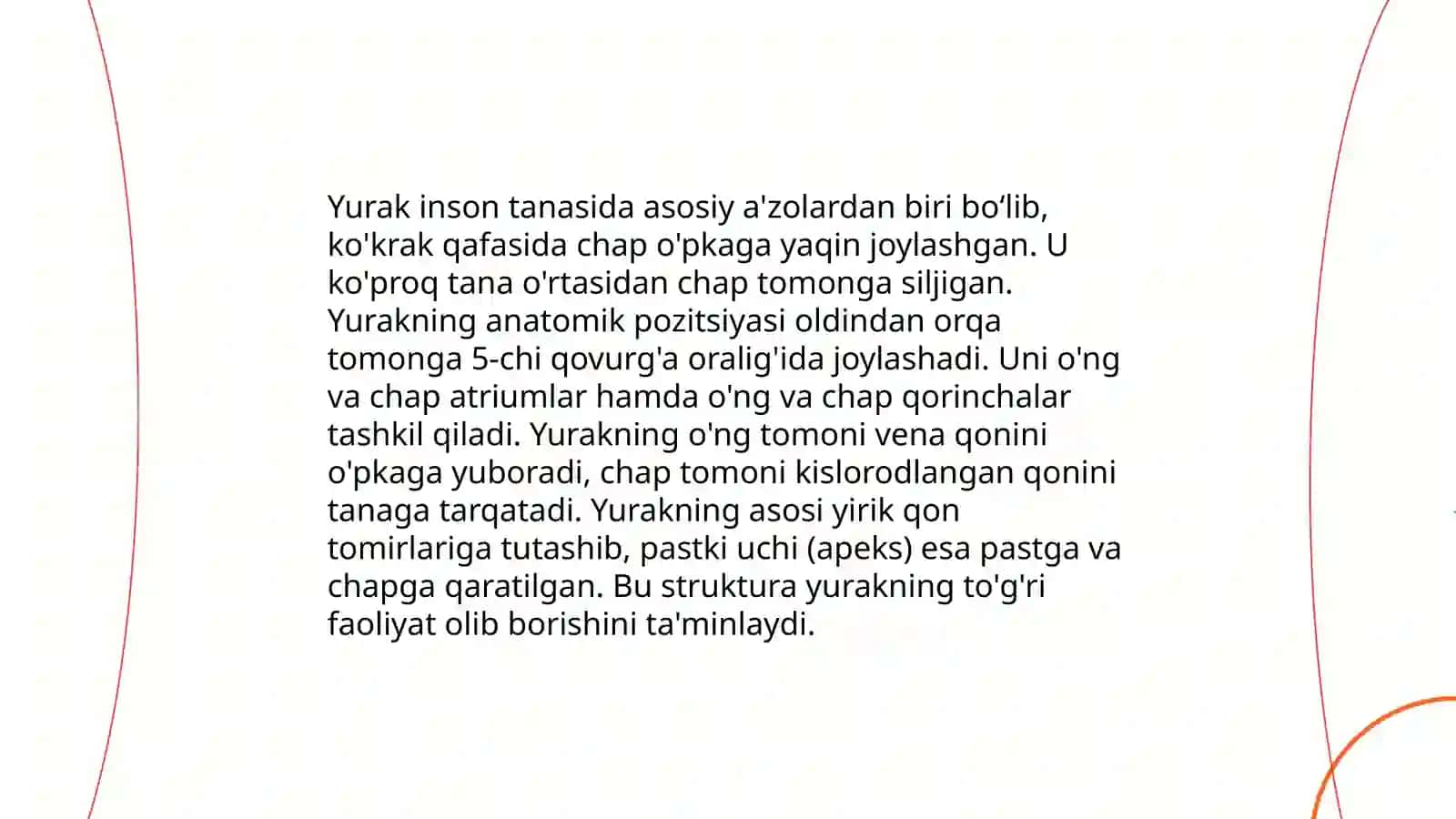 Yurak anatomiyasi 4