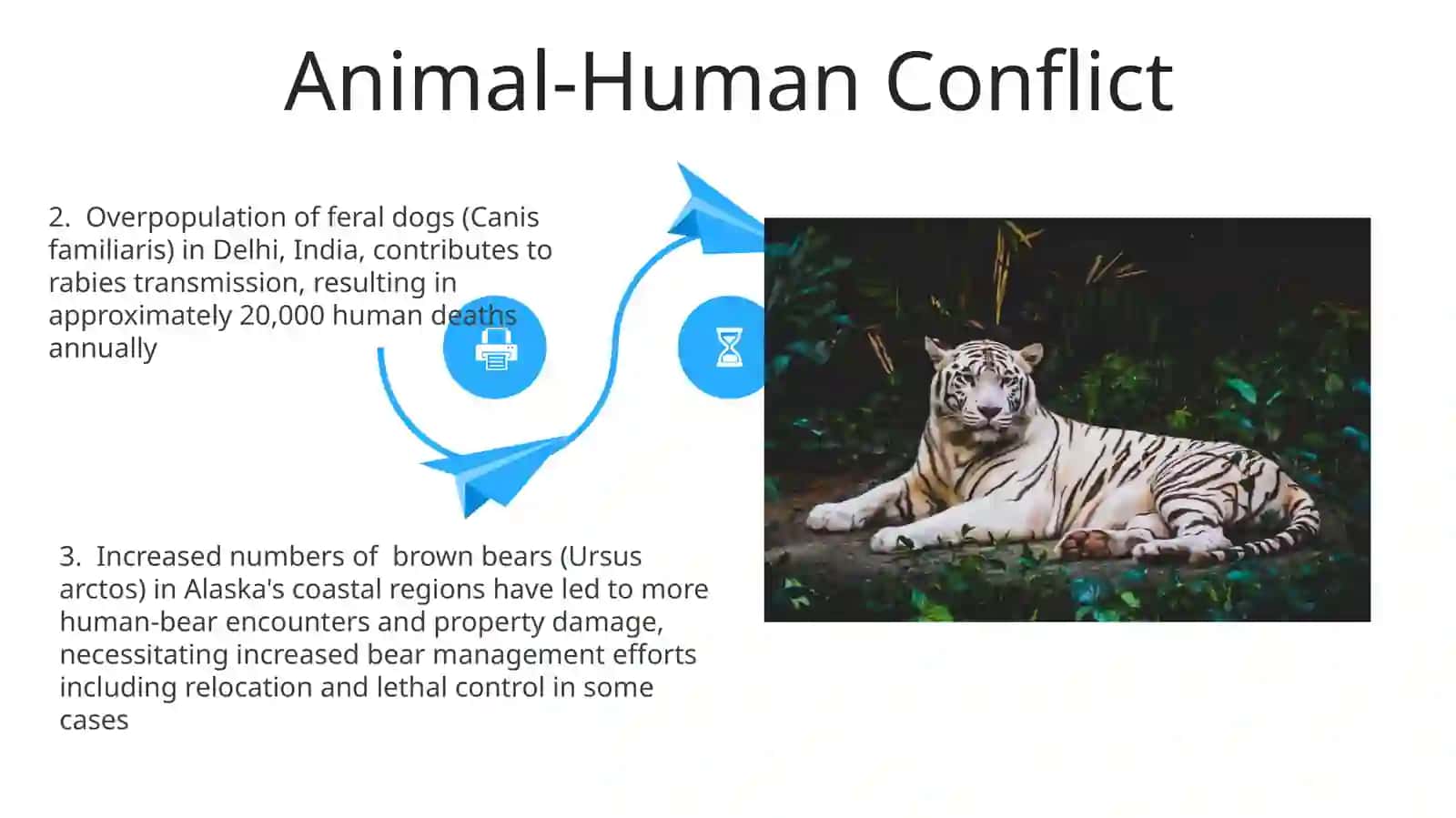 Animal population impacts on human life 4