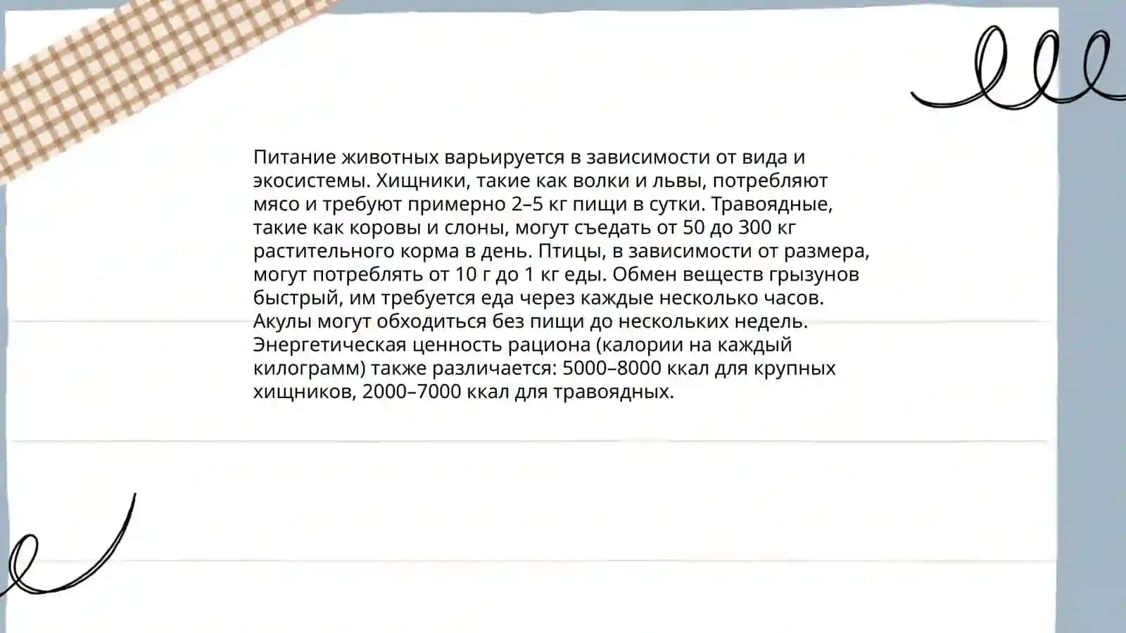 Мое любимое животное 4