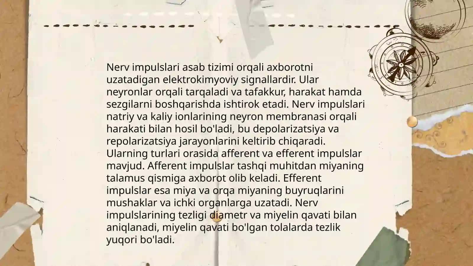 Neyronal faollik turlari 4