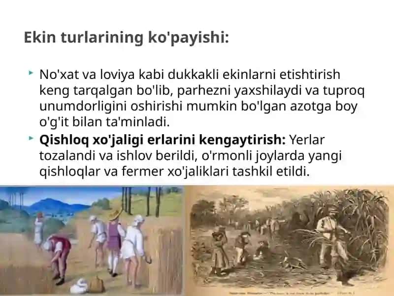 Rivojlanish o‘rta asrlarda Fransiya va Angliya 4