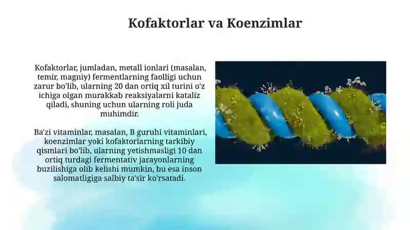 Oqsillar, Fermentlar va Vitaminlar 4