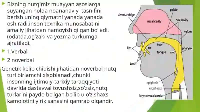 Nutqning psixologik tashhisi 4