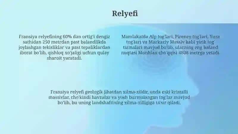 Fransiya davlati 4