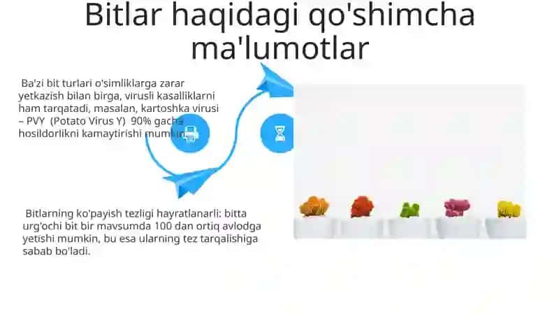 Shiralarga Qarshi Kurash Usullari 4