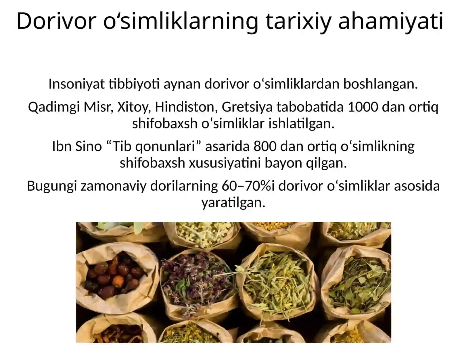 Dorivor oʻsimliklar 4