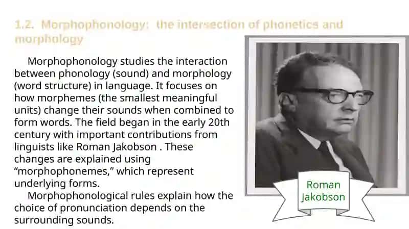 THE RELATIONSHIP BETWEEN PHONETICS AND WORD STRUCTURE 4