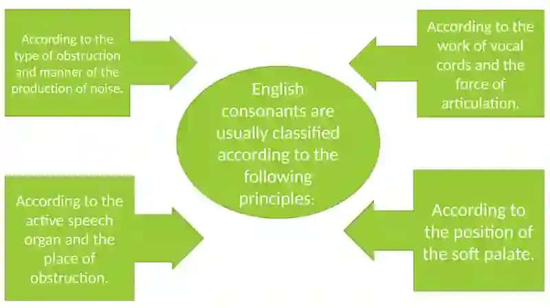 The classification of consonant phonemes 4