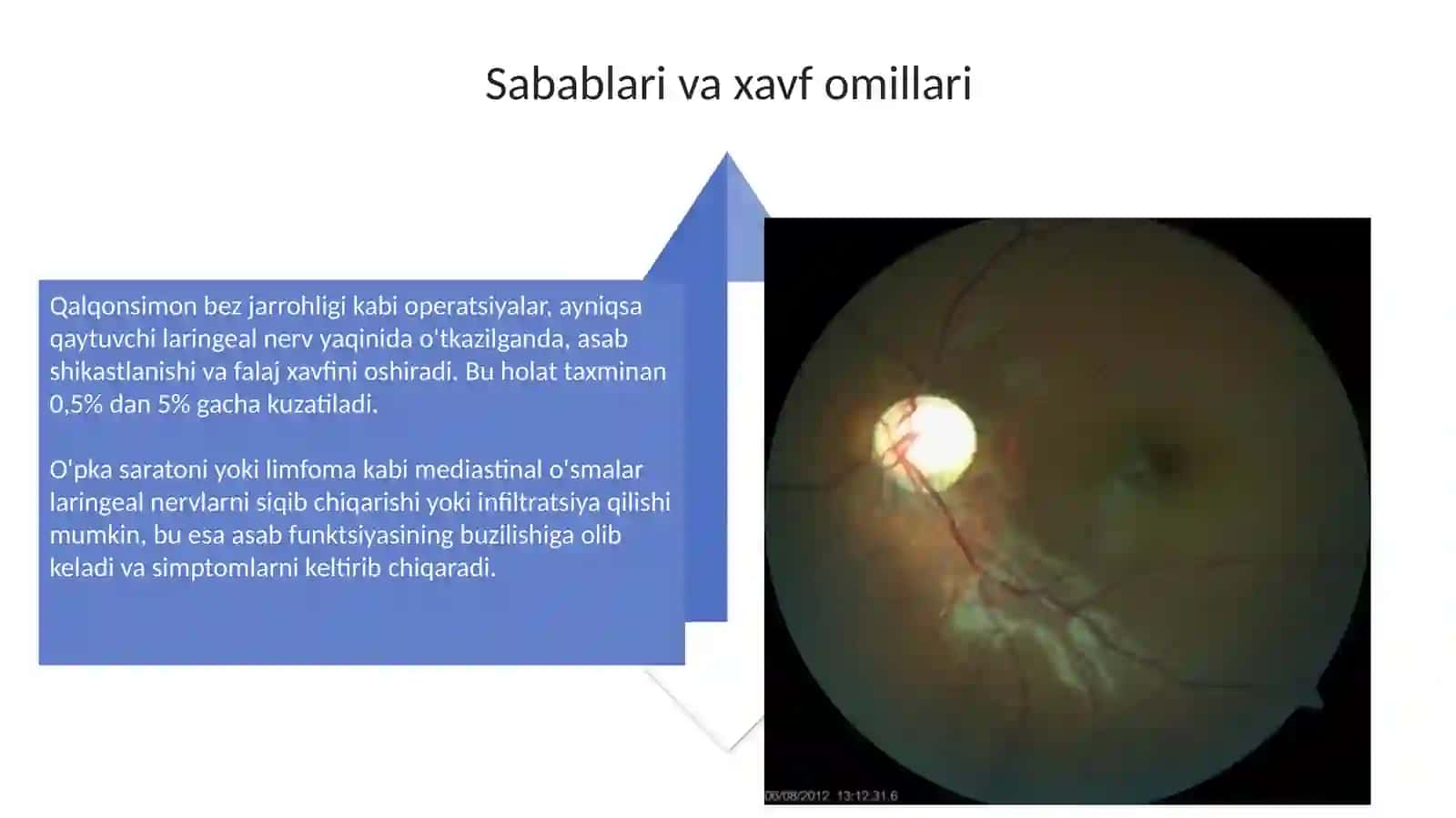Kõruvnervkasalliklari 4