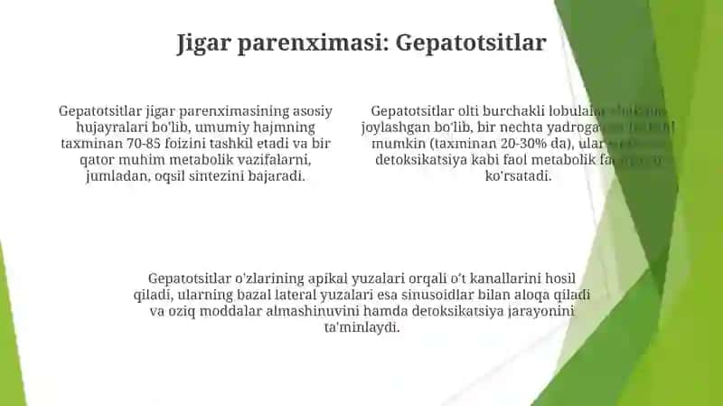 Veterinariya Meditsinasi - Jigar 4