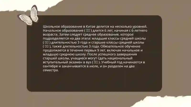 Особенности системы образования Китая, Испании и Сингапура 4