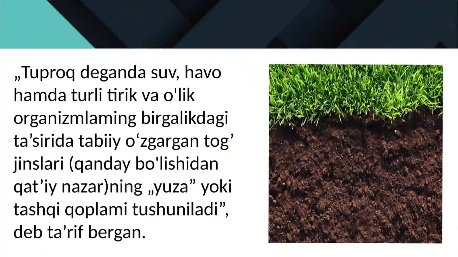 Tuproqlarni tadqiq etishga hissa qoʻshgan olimlar 4