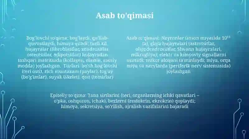 Muskul to'qimalari 4