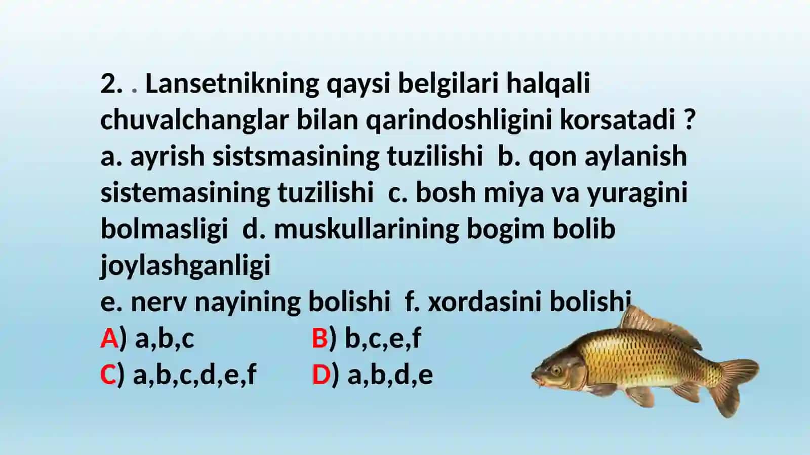 Baliqlarning ichki tuzilishi 4