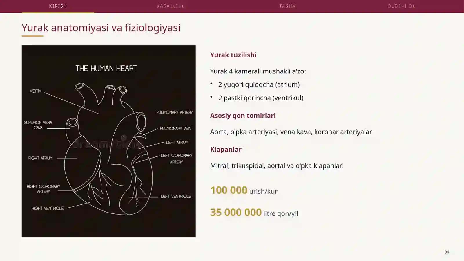 Tibbiyot talabalari uchun profissional mustaqil ish 4