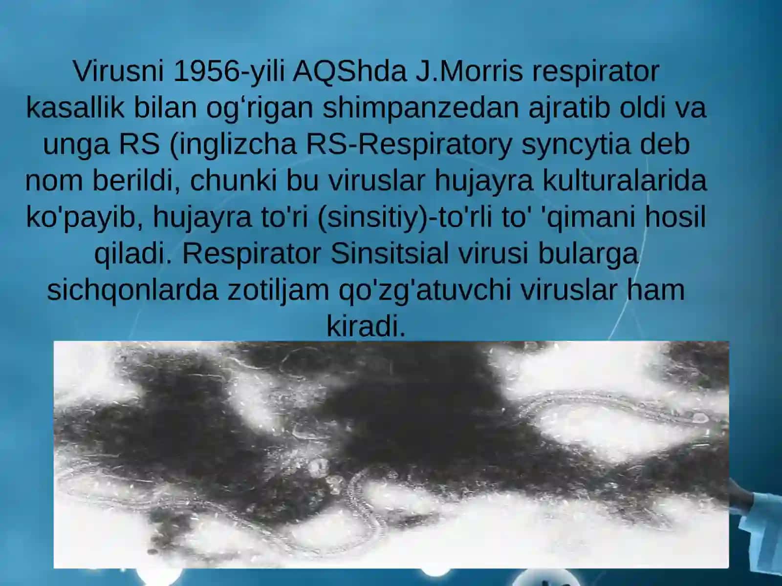 Respirator-sinsitial virus 4
