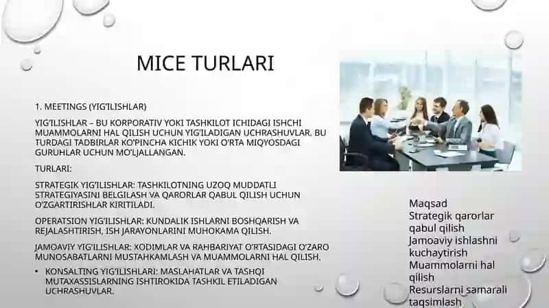 MICE (Meetings, Incentives, Conferences, and Exhibitions) 4