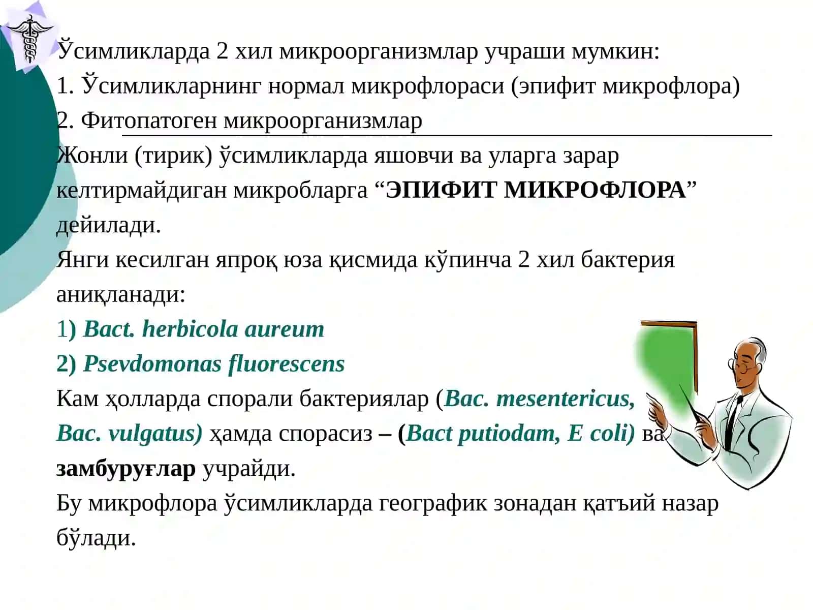 Доривор ўсимликлар хом ашёсининг микрофлораси 4