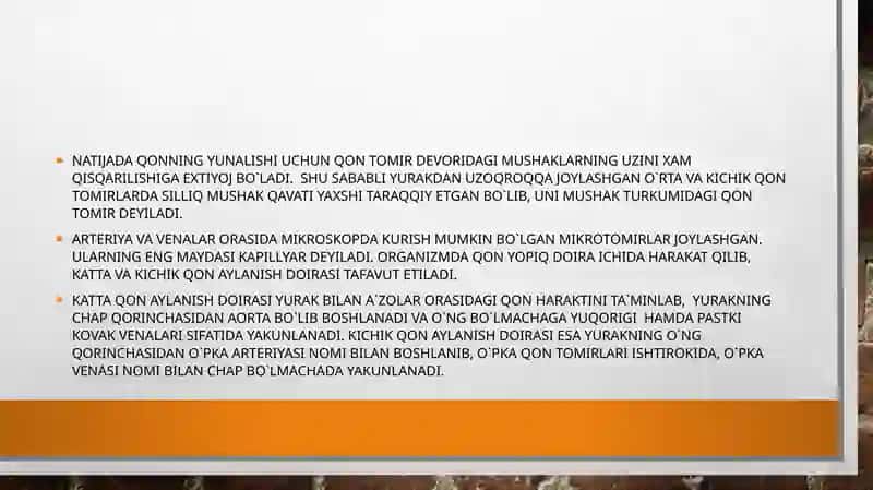 Yurak qontomirsistemasi 4