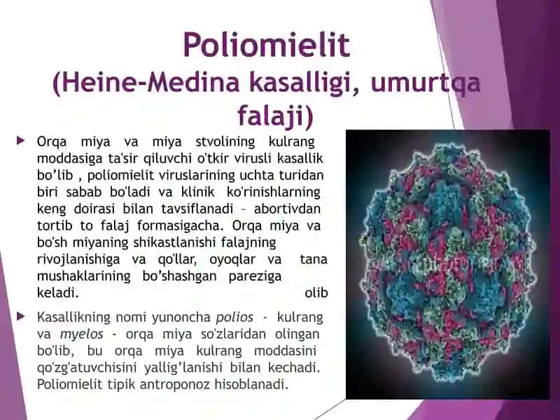 Enteroviruslarning morfologiyasi 4