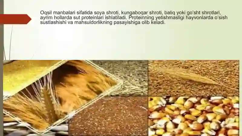 Omuxta yemning kimyoviy tarkibi 4
