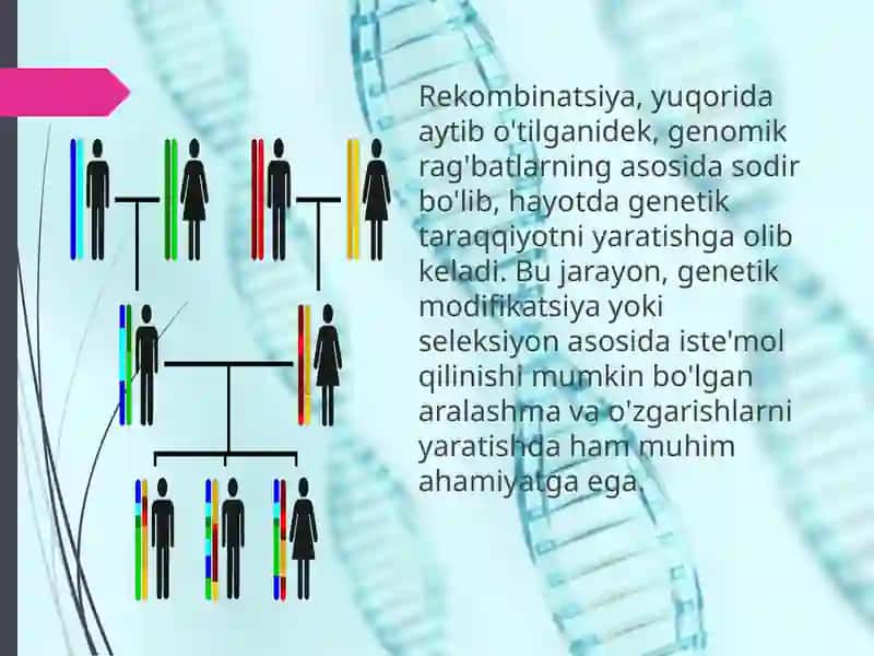 Rekombinatsiyaning evolyutsion ro`li. 4