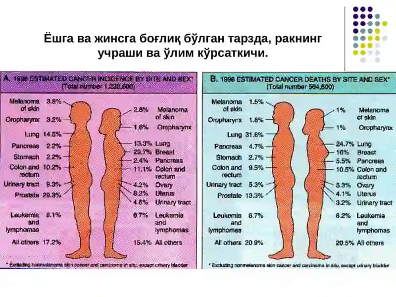Ўсмалар 4