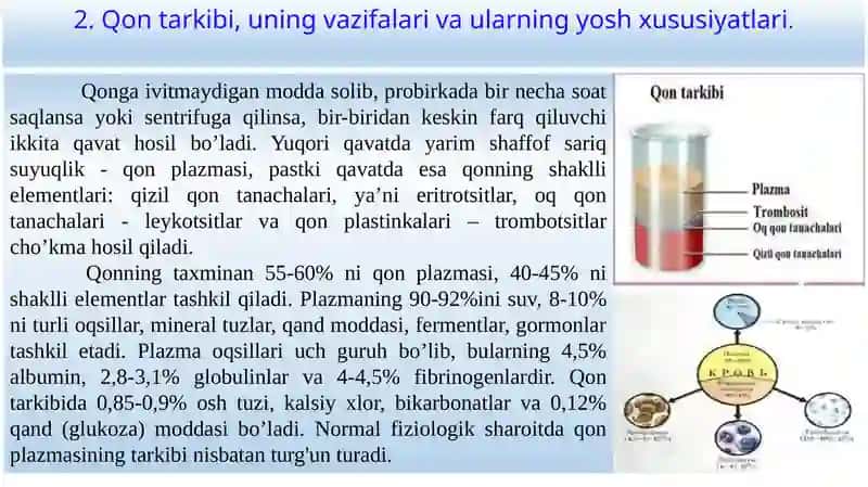 Qonning ahamiyati 4