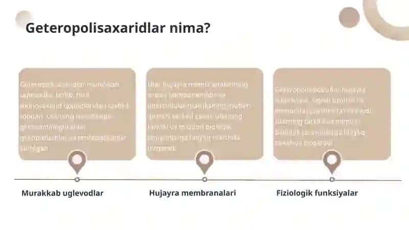 Geteropolisaxaridlar: Ontogenez va Patologiyada 4