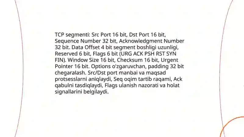 TCP VA UDP SEMANTIKASI VA SINTAKSISI 4