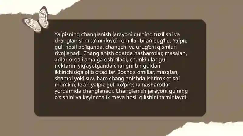 Yalpiz o'simligining changlanishi va gullashi 4