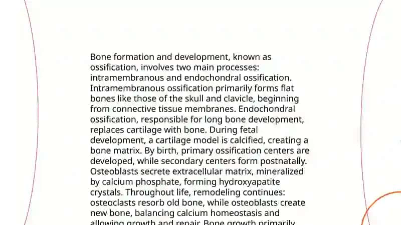 Anatomiya bo'yicha nifoz 4